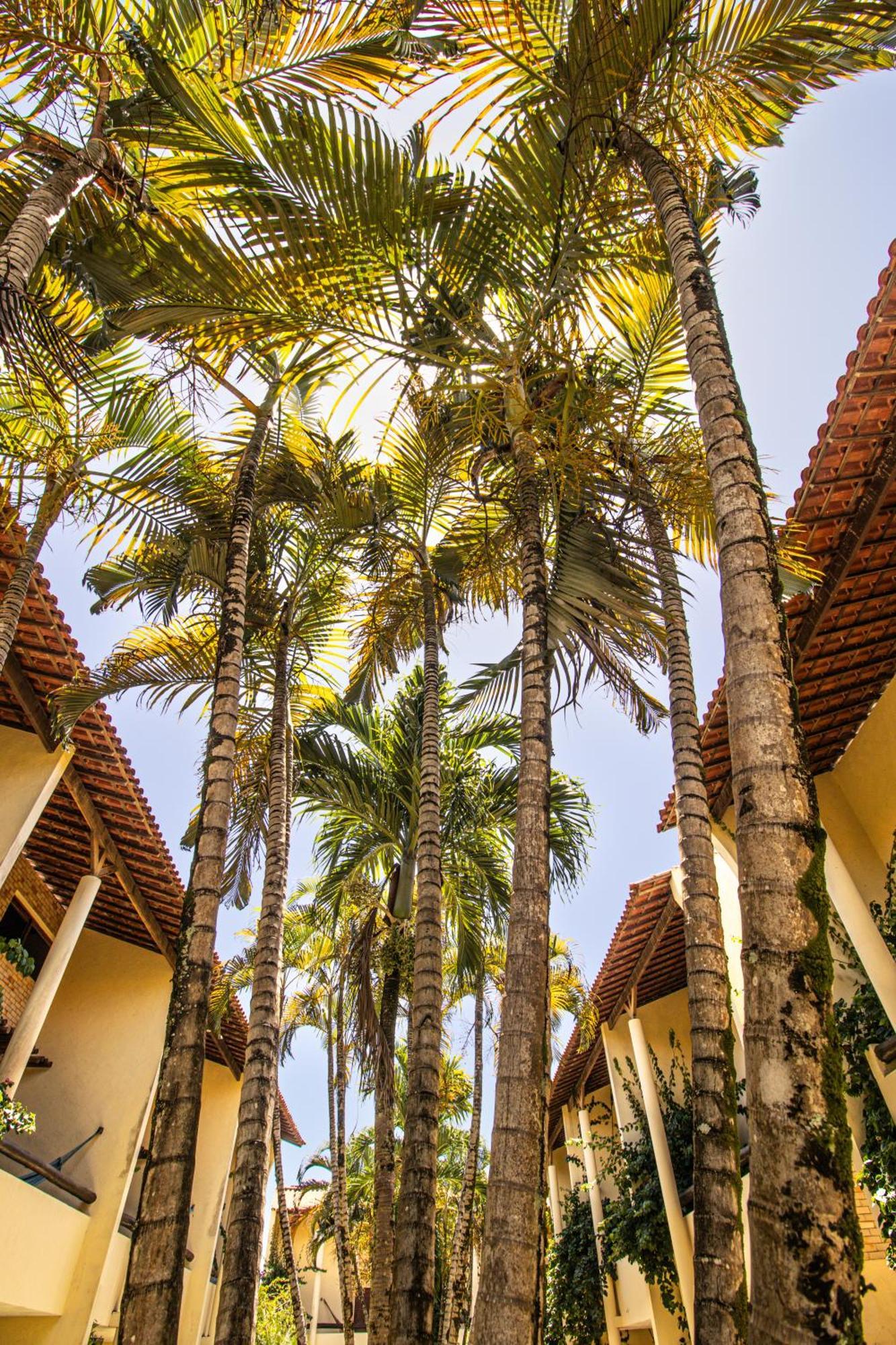 Solar Pipa - Solar Da Gameleira Flats Villa Praia de Pipa Exterior photo